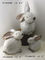 Le petit jardin décoratif de lapin ornemente des animaux pour la Chambre/cour fournisseur